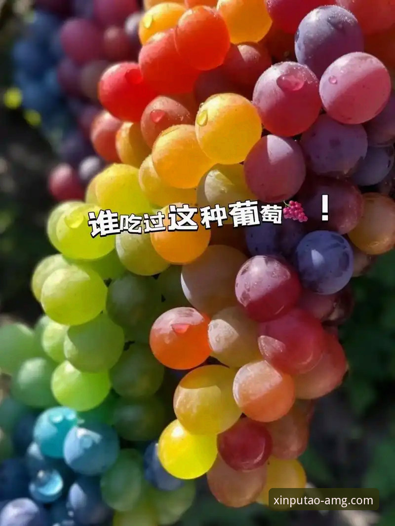 新葡萄8883官网资深用户分享：2026新葡萄官方网站实战体验与技术评测