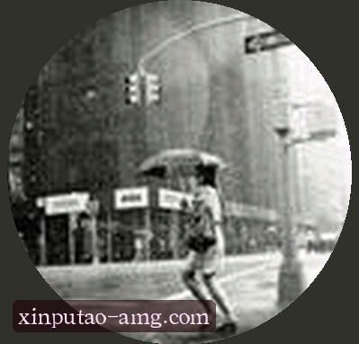 刘娜